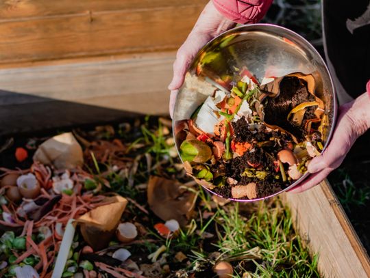 Gm. Krasnystaw. Chcesz bezpłatny kompostownik na bioodpady?