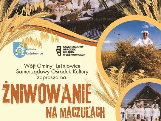 Gm. Leśniowice. Żniwowanie nad zalewem Maczuły