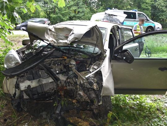 Gm. Łopiennik Górny. Nissan uderzył w drzewo. Kierowca z 5-letnim dzieckiem w szpitalu