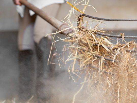 Gm. Rejowiec. Cena skupu została obniżona. Rolnicy wiedzą już, jak dużo zapłacą podatku
