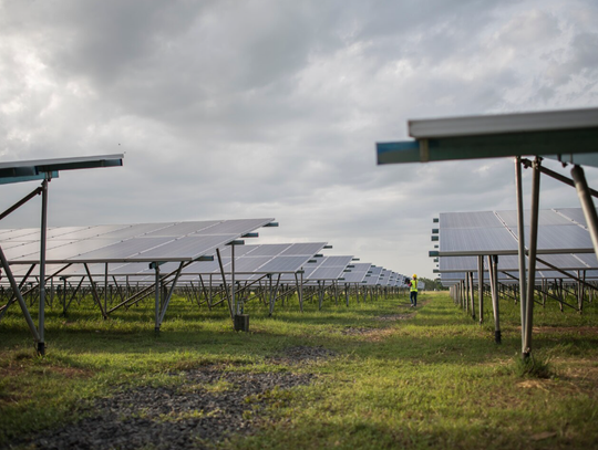 Gm. Rejowiec. Lepszy rydz niż nic. Gmina czeka z niecierpliwością na farmę
