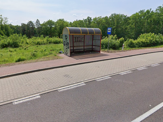 Jeden z wątków dyskusji, jaka miała miejsce podczas ostatniej sesji Rady Miejskiej w Rejowcu, dotyczył sposobu zagospodarowania terenów po słynnych niegdyś zakładach drzewnych i całej infrastruktury, jaka jest z nimi związana. Ten zakątek gminy budzi ambiwalentne nastroje.