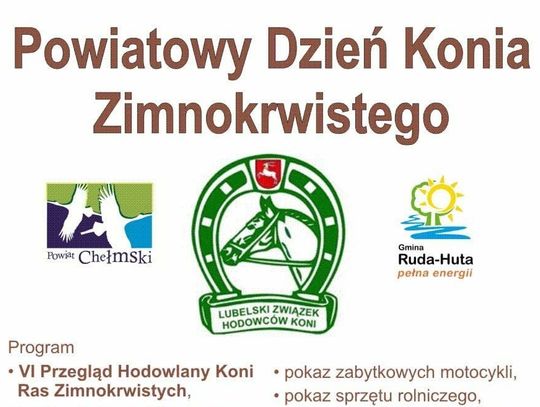 Gm. Ruda-Huta. Dzień Konia Zimnokrwistego