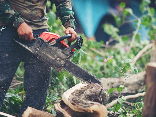 Istotne dla lokalnej społeczności kwestie radni zasygnalizowali w punkcie poświęconym interpelacjom i zapytaniom. Czy gmina będzie w stanie przygotować skuteczną odpowiedź na wszystkie bolączki?