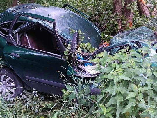 Gm. Ruda Huta. Wypadł z drogi i uderzył w drzewo