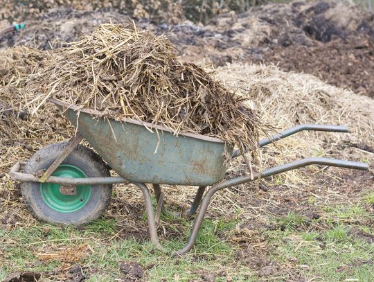 Gm. Sawin: NIE dla biogazowni