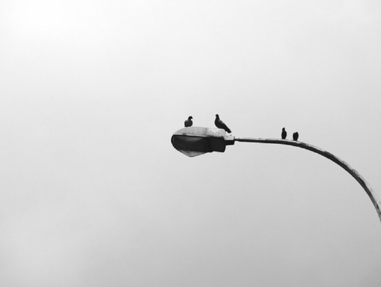 Gm. Sawin. Sajczyce alarmują w sprawie lamp. Energetyczna niefrasobliwość może sporo kosztować