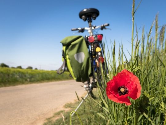 Gm. Sawin. Ścieżka pieszo-rowerowa – gratka dla turystów i miłośników regionu