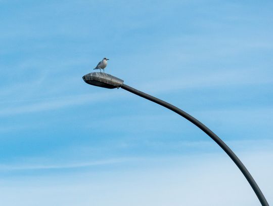 Wątpliwości w sprawie oświetlenia ulica zasygnalizował nam pan Zdzisław, mieszkaniec gminy Sawin.