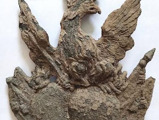 Sensacyjne znalezisko poszukiwacza z Sawina. Takiego orła nie ma w całym kraju