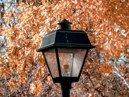 Przestrzeń odpoczynku i rekreacji, jaką stanowi siedliski park, zostanie na nowo zagospodarowana. Do realizacji zadania przystąpi, w porozumieniu z władzami gminy, Siedliskie Towarzystwo Regionalne w Siedliszczu. Jakie konkretnie działania zaplanowano?