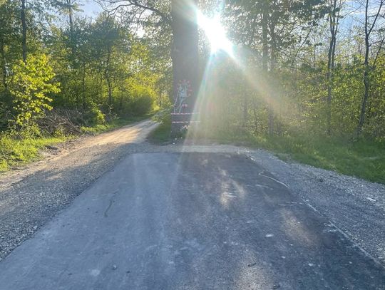 Gm. Siedliszcze. Podróż tą drogą kończy się przy... drzewie