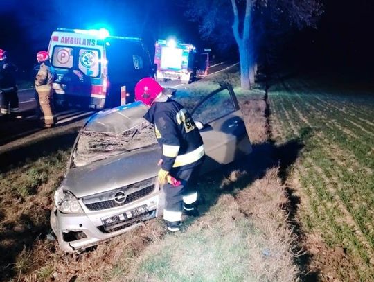 Łoś wyskoczył tuż przed pędzącym oplem. Ranny mieszkaniec powiatu chełmskiego