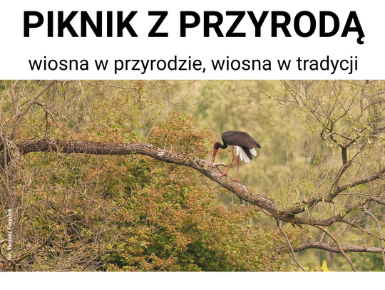 19 kwietnia odbędzie się piknik, którego organizatorami są Towarzystwo dla Natury i Człowieka oraz Ogólnopolskie Towarzystwo Ochrony Ptaków.