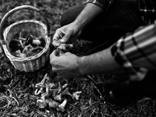 Gm. Włodawa. Zgubił się w lesie podczas grzybobrania. 53-latka poszukiwali policjanci