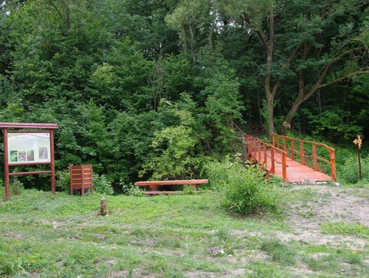 Gm. Wojsławice. Cenią sobie współpracę z nadleśnictwem. Wspólnie mogą dokonać jeszcze wiele dobrego