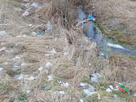 Na stan terenu położonego w bezpośrednim sąsiedztwie wielkopowierzchniowego sklepu i lokalnego, gminnego targowiska zwrócił nam uwagę jeden z naszych Czytelników. – To taki gminny śmietnik. Kiepsko to wygląda w kontekście toczącej się kampanii wyborczej – zauważył.