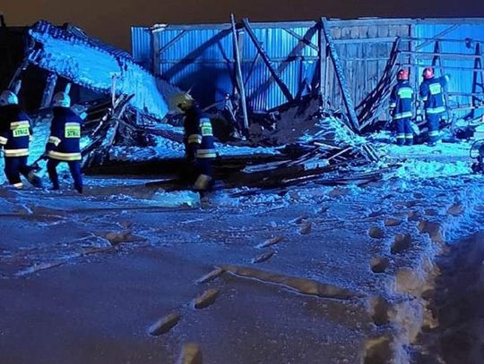 Gm. Wojsławice. W Nowym Majdanie śnieg zawalił stodołę. Strażacy ratowali psa!