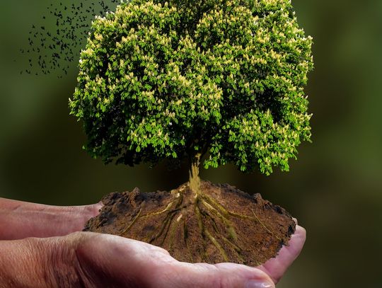 Gm. Wola Uhruska. Bezpłatne konsultacje klimatyczne