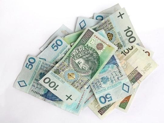 pieniądze polskie na białym tle