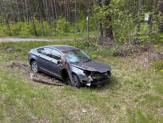 Gm. Wyryki. Sarna wybiegła na drogę, kierowca uderzył w przepust