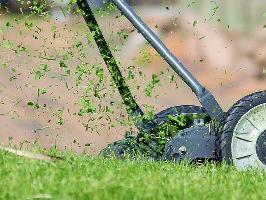 Pechowi sąsiedzi. Stracili prawko, zostały im tylko kosiarki