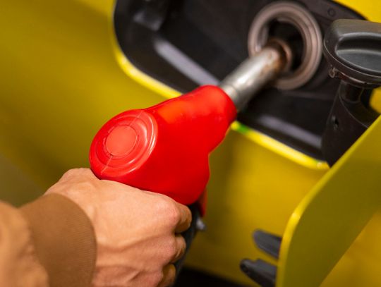 Gm. Żmudź. Budują odporność na kryzysy. Zaczynają od zakupów