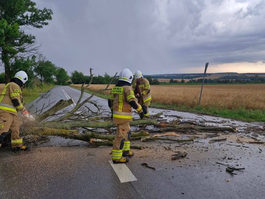 Gm. Żółkiewka. Burza dała o sobie znać. Strażacy usuwali powalone drzewa