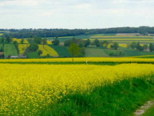 Gm. Żółkiewka. Czy walka o czyste powietrze już się zakończyła?