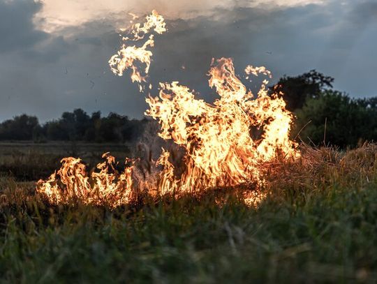 Gm. Żółkiewka. Ogromny pożar ścierniska. 7 zastępów straży walczyło z żywiołem