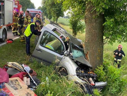 Kierowca przysnął, renault roztrzaskał się na drzewie [ZDJĘCIA]