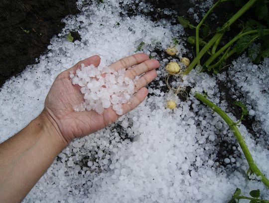 Gmina Kraśniczyn przyjmuje wnioski o oszacowanie strat