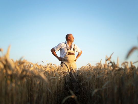 Gm. Kamień. Gminne Święto Plonów w Czerniejowie