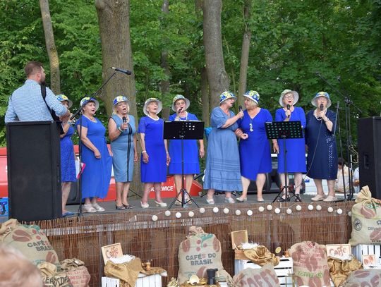 Gospodynie i artyści z powiatu krasnostawskiego czarowali na jarmarku