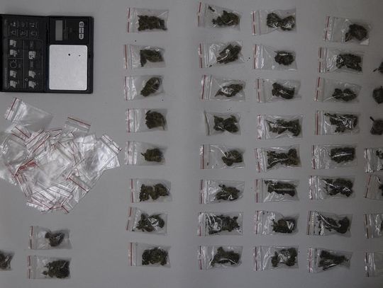 Gram marihuany za stanikiem, więcej w reklamówce