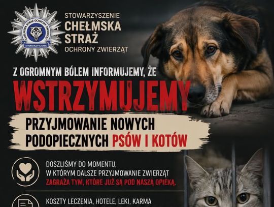 Chełmskie stowarzyszenie wstrzymuje przyjmowanie zwierząt. W dramatycznym apelu podaje powód!
