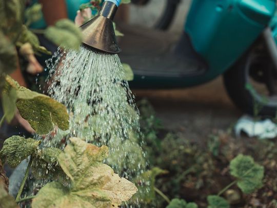 Gromadzenie deszczówki w myśl zasady zero waste! Sprawdź, dlaczego warto