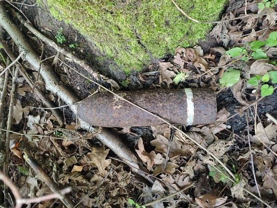 Groźne znalezisko w lesie. Leśniczy natknął się na niewybuch z czasów II wojny światowej