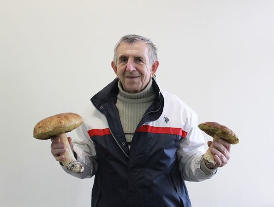 Grzyb omal nie przyprawił o zawał