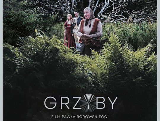 Chełm. "Grzyby" w DKF Rewers