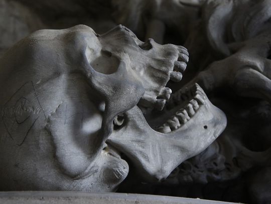 Harcerze wykopali ludzkie kości | Super Tydzień