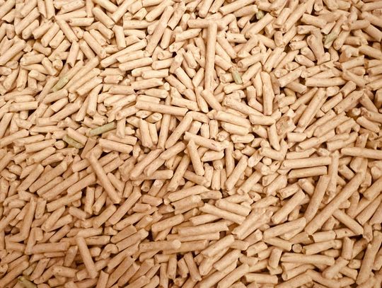 Hurtowa sprzedaż pelletu w Polsce