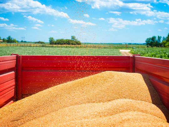 Wójt Wojciech Sawa podjął kolejne działania w sprawie dużej inwestycji planowanej przez firmę Agrolok. To ważny krok w kierunku rozbudowy infrastruktury magazynowej na terenie gminy. Postępowanie administracyjne zostało wznowione po przedłożeniu przez inwestora wymaganych dokumentów.