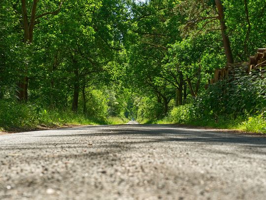 Izbica – Zalesie. Dla kogo ta droga?