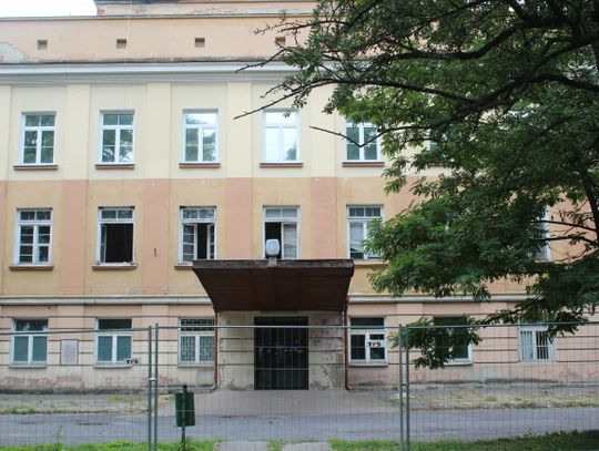 Jak Feniks z popiołów