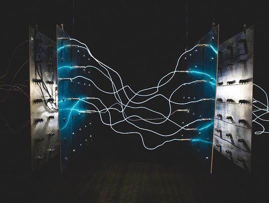 Jak obniżyć koszt remontu bądź budowy domu