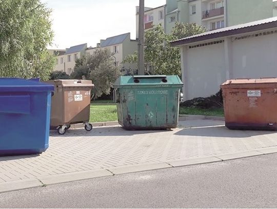 Jak segregować śmieci, aby uniknąć kary?