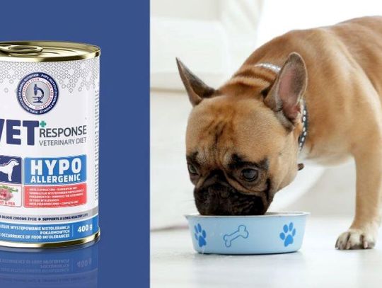 Jakie mięso nie uczula psa? Wszystko, co warto wiedzieć