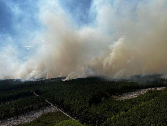 Już 500 hektarów Puszczy Solskiej w płomieniach. Dyrektor Lasów Państwowych: „Jestem przerażony” [ZDJĘCIA]