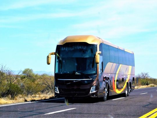 Kabiny sypialne bus: luksus na kółkach